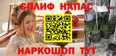 шишки Нальчик