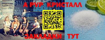 шишки Нальчик