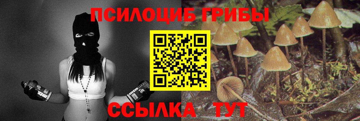 Галлюциногенные грибы прущие грибы  Псилоцибиновые грибы мухоморы  Севастополь  Вход с VPN 